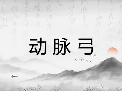 动脉弓