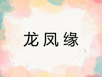 龙凤缘