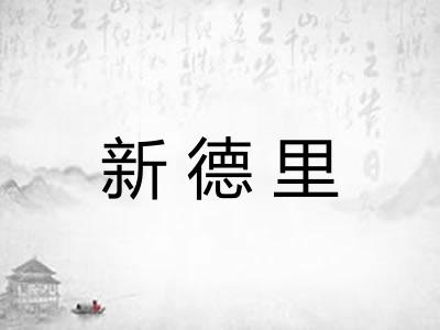 新德里