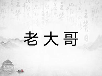 老大哥 老大哥