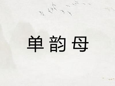 单韵母