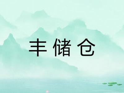 丰储仓