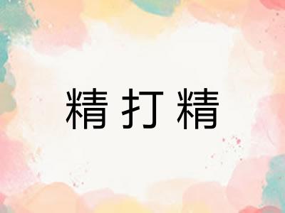 精打精