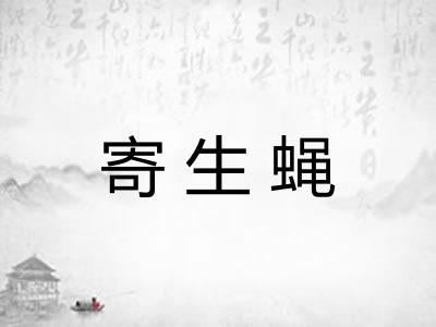 寄生蝇