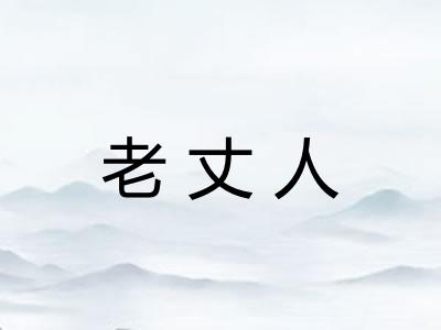 老丈人
