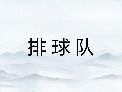 排球队