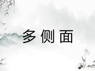 多侧面 多侧面