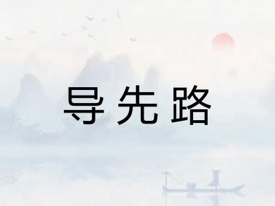 导先路