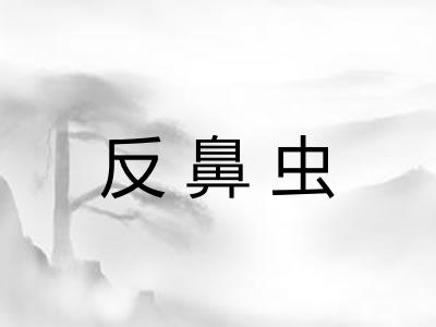 反鼻虫 反鼻虫