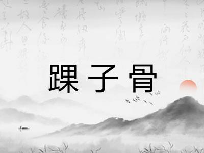 踝子骨 踝子骨