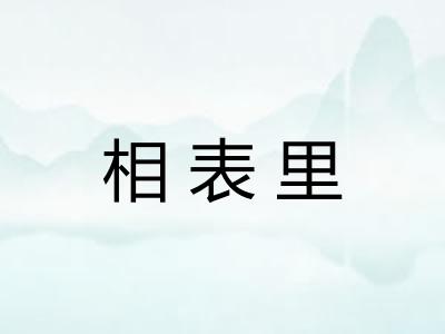 相表里