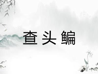 查头鳊