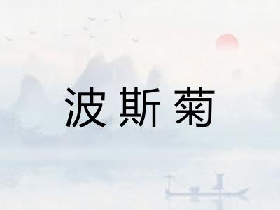 波斯菊