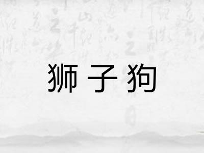 狮子狗 狮子狗