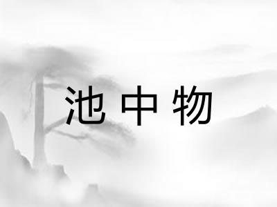 池中物