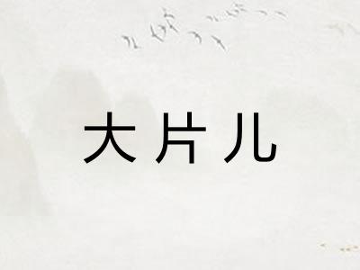 大片儿 大片儿