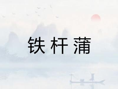 铁杆蒲