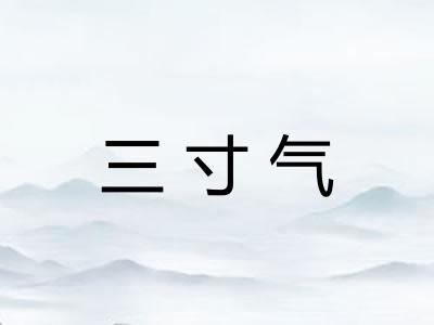三寸气 三寸气