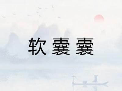 软囊囊