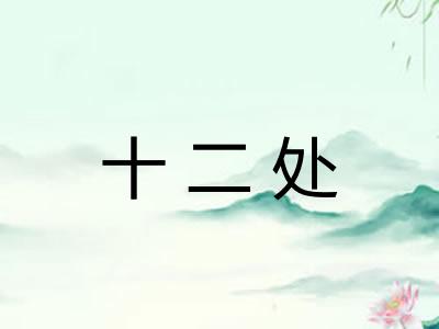 十二处