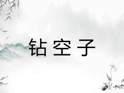 钻空子