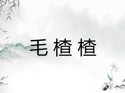 毛楂楂 毛楂楂