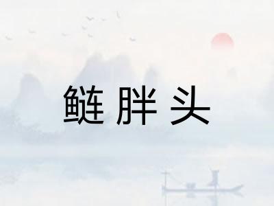 鲢胖头