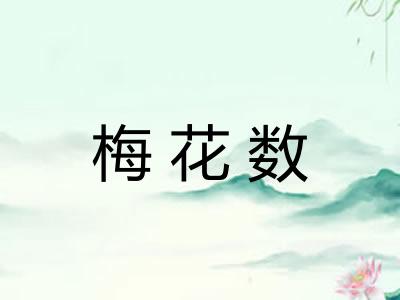 梅花数 梅花数