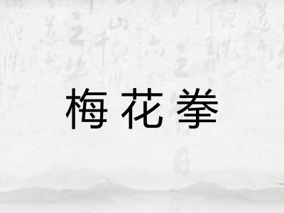 梅花拳 梅花拳