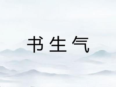书生气 书生气