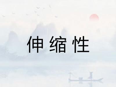伸缩性 伸缩性