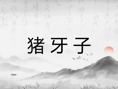 猪牙子