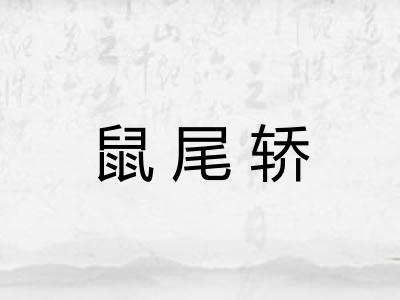 鼠尾轿 鼠尾轿