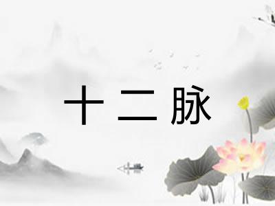 十二脉 十二脉