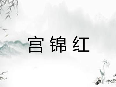 宫锦红