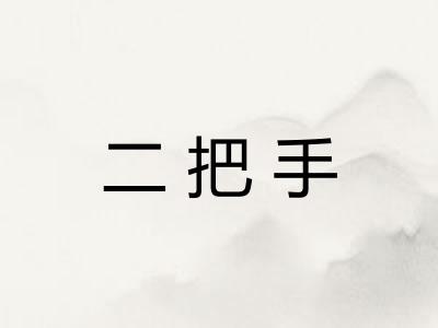 二把手 二把手