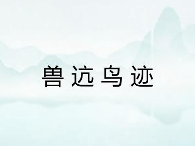 兽迒鸟迹