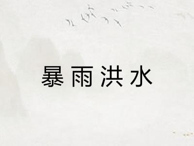 暴雨洪水