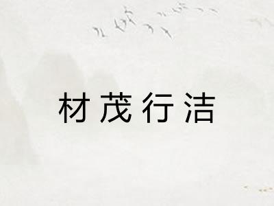 材茂行洁