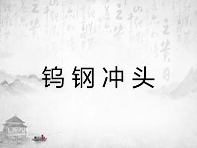 钨钢冲头