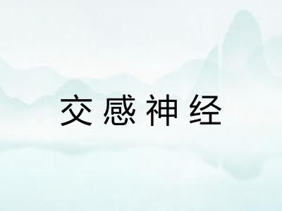 交感神经 交感神经