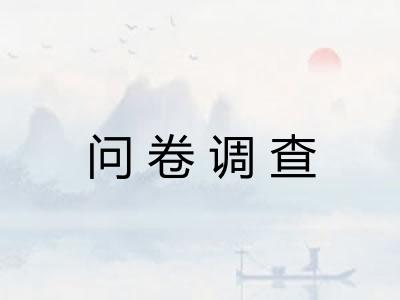 问卷调查