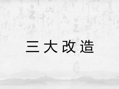 三大改造