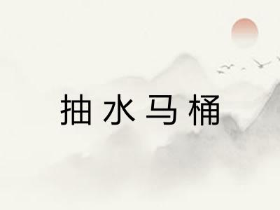 抽水马桶 抽水马桶