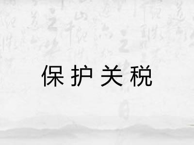 保护关税 保护关税