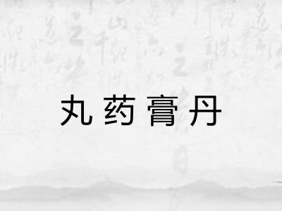 丸药膏丹 丸药膏丹