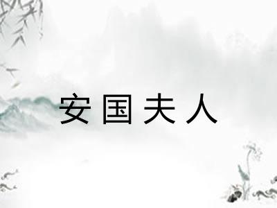 安国夫人 安国夫人