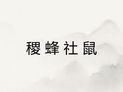 稷蜂社鼠