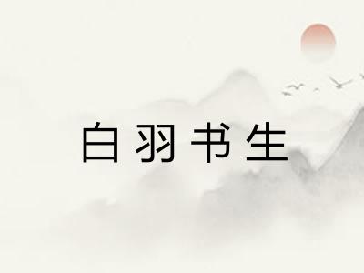 白羽书生 白羽书生