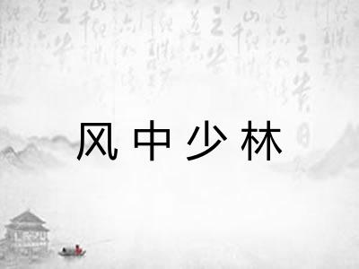 风中少林 风中少林